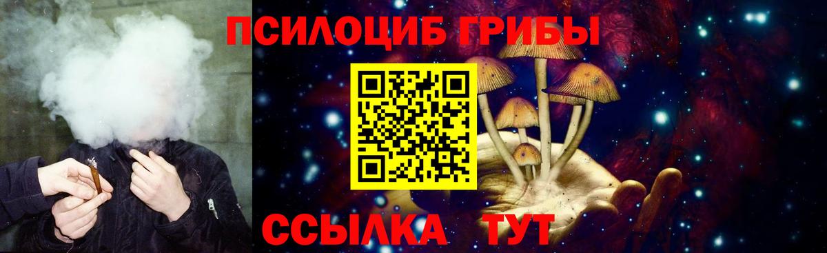 цена   Галлюциногенные грибы мицелий  Вход с VPN  Великий Новгород 